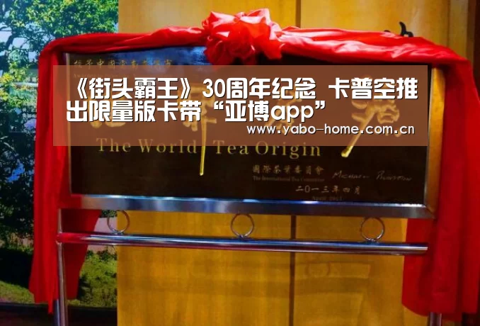 《街头霸王》30周年纪念 卡普空推出限量版卡带“亚博app”(图2) 亚博app