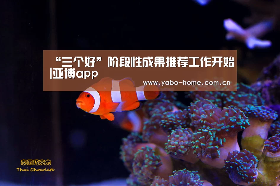 惊喜不断。亚博体育支持多种安全便捷的充值与提款方式